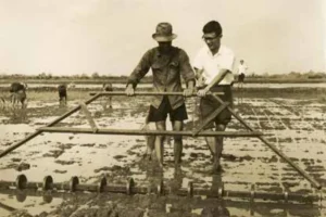 Nền nông nghiệp Việt Nam Cộng hòa: Dấu ấn Đài Loan