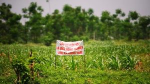 Đồng Tâm sau 3 năm: Luật Khoa đã viết những gì?