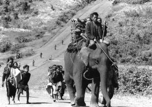 Tiềm năng kinh tế mới là yếu tố làm nên tính chiến lược của Tây Nguyên?