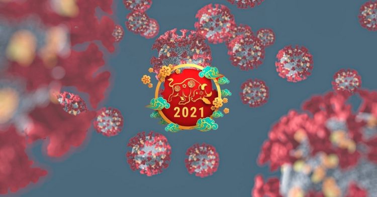 Ảnh minh họa: Dulieudohoa/ Somo/ Luật Khoa.