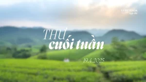 Thư cuối tuần: Luật Khoa đóng website trong hai ngày để nâng cấp