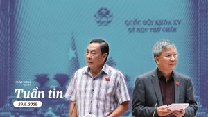 Ảnh trái: Đại biểu Phạm Văn Hòa (Đoàn Đại biểu Quốc hội tỉnh Đồng Tháp); ảnh phải: Đại biểu Nguyễn Anh Trí (Đoàn Đại biểu Quốc hội TP. Hà Nội). Nguồn ảnh: Media Quốc hội. Đồ họa: Tùng Anh / Luật Khoa.