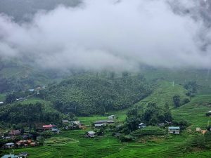 Cô gái H’Mông và khát vọng ươm mầm trên những rẻo cao mây phủ