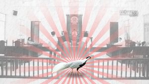 Nguồn ảnh: Thomas Vinh Tran, Sơn Nguyễn/Báo Dân Trí. Ảnh minh họa: Thiên Tân/Luật Khoa.