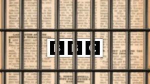 Khi Việt Nam là “nhà tù” cho nhà báo