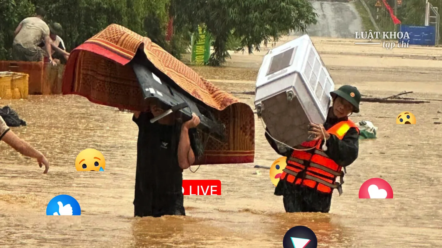 Ảnh: Doãn Hòa/Báo Tuổi Trẻ. Đồ họa: Thiên Tân/Luật Khoa. Hình ảnh chỉ mang tính chất minh họa.